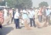 गांधी जयंती पर चलाया स्वच्छता ही सेवा अभियान Safidon News