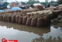 हरियाणा में तेज हवाओं के साथ बारिश, सोनीपत में ओले; मंडियों में खुले पड़े धान को लेकर किसान चिंतित Haryana Weather