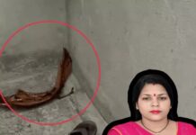 गुरुग्राम में टीचर की पत्नी नीतू की हत्या का रहस्य गहराया, घर में कैश-जेवर सुरक्षित, 60 घंटे बाद भी आरोपी फरार Gurugram News