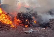मोहाली के RMC पॉइंट पर आग, बुझाने में जुटीं 16 गाड़ियां; समाधान को लेकर नेताओं ने उठाए सवाल मोहाली के रिहायशी इलाके के पास आरएमसी पॉइंट पर लगी आग बुझाने में करीब 16 दमकल गाड़ियां जुटी हैं। कांग्रेस नेताओं और