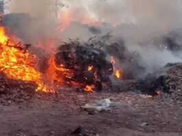 मोहाली के RMC पॉइंट पर आग, बुझाने में जुटीं 16 गाड़ियां; समाधान को लेकर नेताओं ने उठाए सवाल मोहाली के रिहायशी इलाके के पास आरएमसी पॉइंट पर लगी आग बुझाने में करीब 16 दमकल गाड़ियां जुटी हैं। कांग्रेस नेताओं और