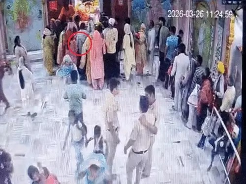 Panchkula News