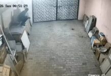 रेवाड़ी में टाइल्स शोरूम से 2.23 लाख रुपये चोरी, ताला तोड़कर घुसा आरोपी सीसीटीवी में कैद Rewari News