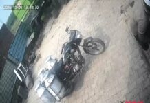 अंबाला के भीलपुरा में कुत्ते के हमले से 10 लोग घायल, बच्चों और बुजुर्गों को भी काटा Ambala News