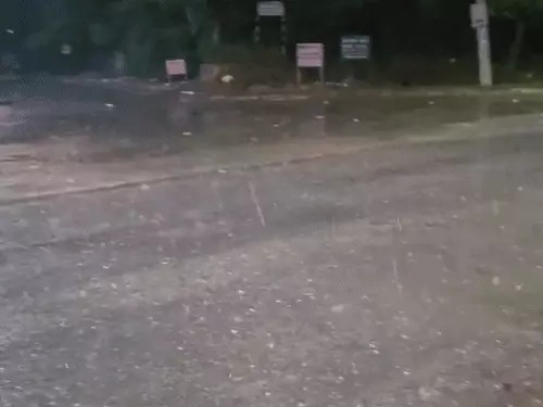 Haryana Weather
