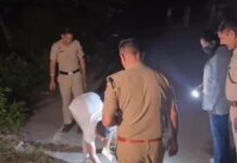पंचकूला में पुलिस मुठभेड़ के बाद दो आरोपी काबू, मोहाली के बिल्डर के ऑफिस पर फायरिंग की योजना का दावा Panchkula News