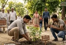 गोहाना में युवक की मौत के मामले में आरोपी को जमानत, पांच पौधे लगाकर दो साल देखभाल करने की शर्त Sonipat News