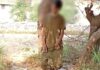 पेड़ पर लटका मिला छह बच्चों के पिता का शव, पुलिस कार्रवाई में देरी पर उठे सवाल Azad Nagar Underpass