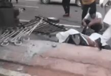 तेज रफ्तार बस बनी हादसे का शिकार, दो की जान गई, 12 यात्री घायल Haryana Bus Accident