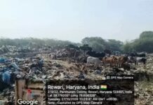 रेवाड़ी में खाली प्लॉटों में कूड़ा डालने पर HSVP के संपदा अधिकारी पर 50 हजार का जुर्माना Rewari News