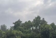 15 जिलों में बारिश का अलर्ट, तापमान में 7 डिग्री की गिरावट; कई जिलों में ऑरेंज और येलो अलर्ट Haryana Weather