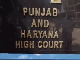 शिक्षकों के ACP मामलों में देरी पर हाईकोर्ट सख्त, जिम्मेदार अधिकारी के वेतन से वसूला जा सकता है हर्जाना Haryana Teachers