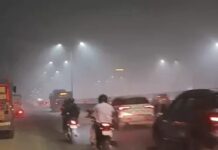 प्रदूषण रोकने के लिए 5 से 20 नवंबर तक सख्त पाबंदियां, दफ्तरों में 50% स्टाफ को ही बुलाने का आदेश Delhi NCR Pollution