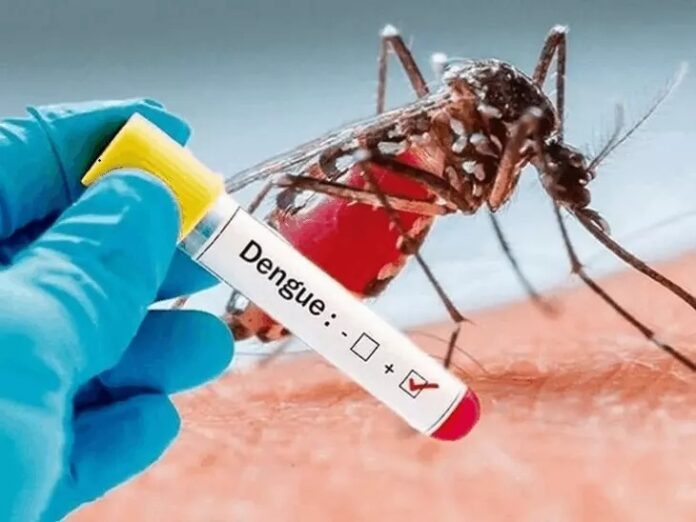 Haryana Dengue Cases