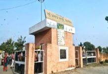 महेंद्रगढ़ की छह मंडियों में आज से बाजरा खरीद, ₹2300 खरीद दर और ₹600 भावांतर Mahendragarh News