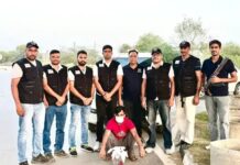 हिसार STF ने पंजाब के पांच लाख के इनामी शक्ति कुमार को पकड़ा, कारोबारी हत्याकांड में था वांछित Hisar STF