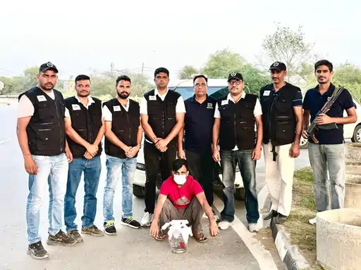 Hisar STF