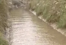 किसानों को बड़ी सौगात: जवाहर लाल नहर में बढ़ेगा पानी का प्रवाह, छह क्षेत्रों की सिंचाई व्यवस्था होगी मजबूत Jawahar Lal Canal,