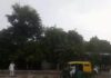 हरियाणा में 14 अक्टूबर तक बारिश के आसार, 10 और 11 को चल सकती हैं तेज हवाएं Haryana Weather