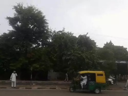 Haryana Weather